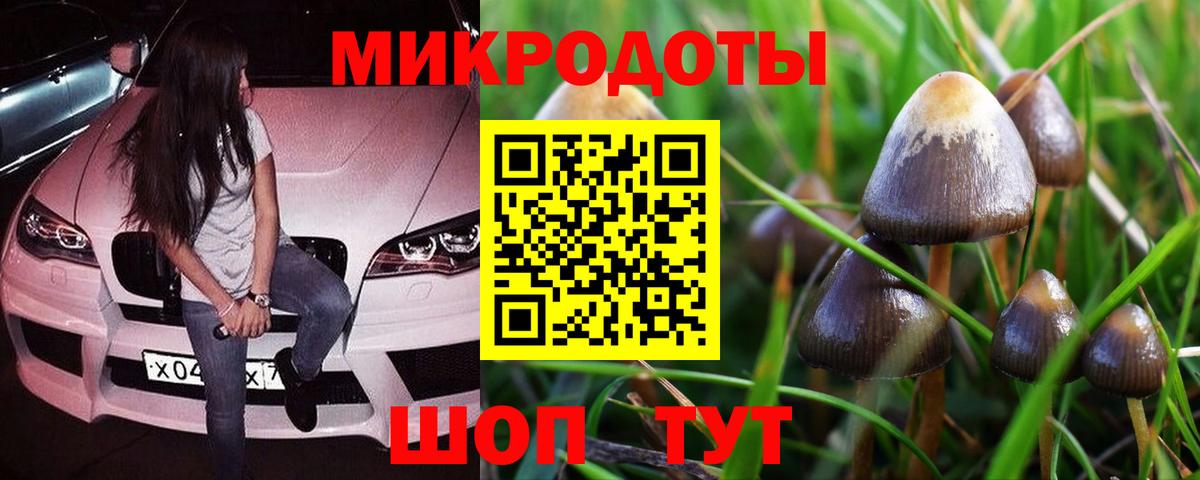 Златоуст  Галлюциногенные грибы мухоморы  Вход с VPN 