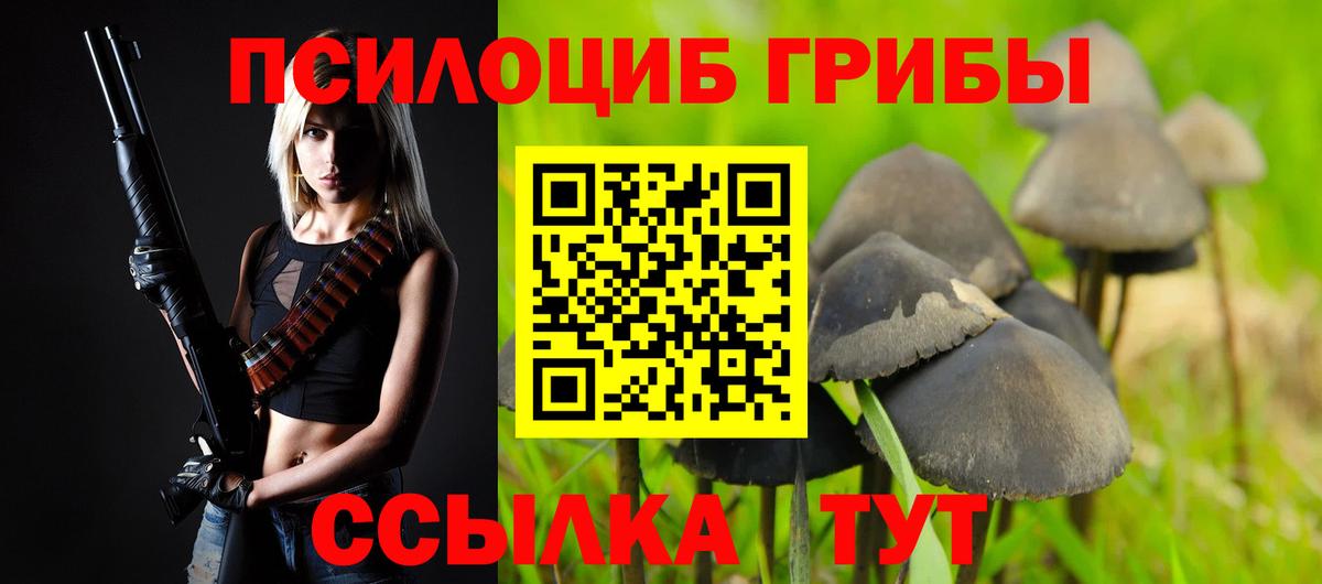 Псилоцибиновые грибы GOLDEN TEACHER Златоуст